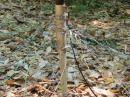 The new and improved radial system for the vertical.
